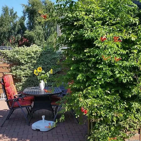 Sonnenblume - Sonne 2 Rechts Zingst