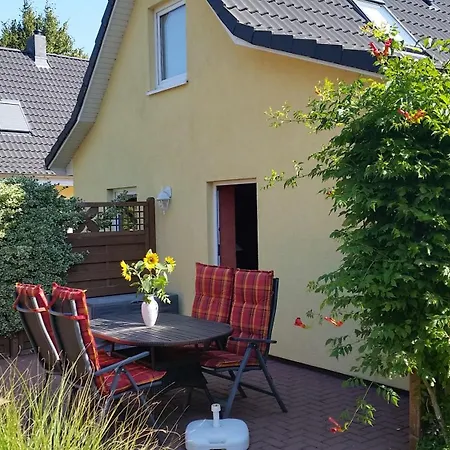 Sonnenblume - Sonne 2 Rechts